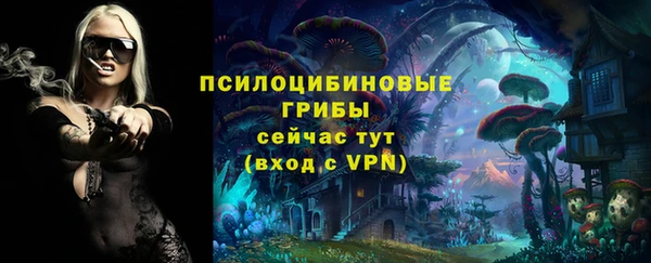 ECSTASY Вязники