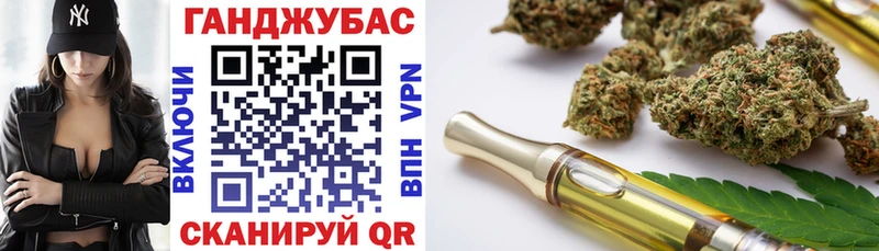 Купить где  Сенгилей  Канабис план 